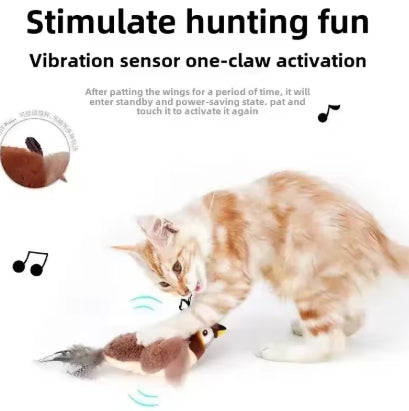 Jouets interactifs pour chat