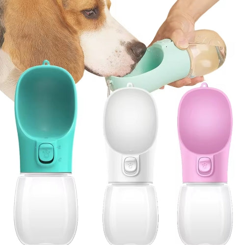 Bouteille d'eau Portable pour chien