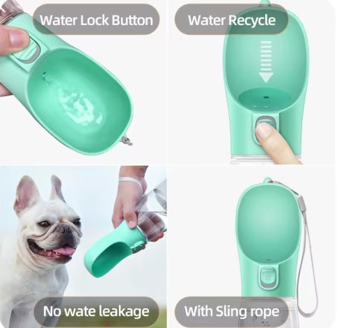 Bouteille d'eau Portable pour chien