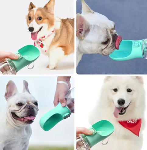 Bouteille d'eau Portable pour chien