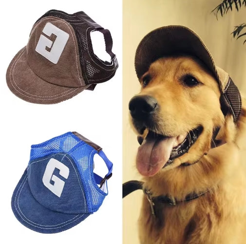 Chapeau de protection solaire pour chien