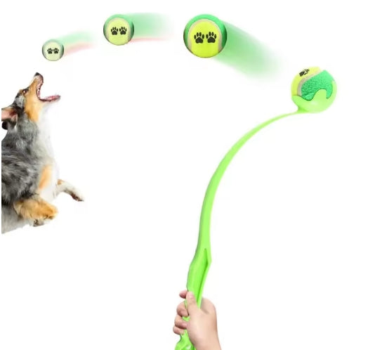 Jouet interactif de lanceur de balle pour chien