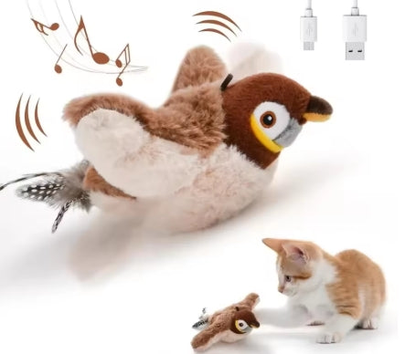 Jouets interactifs pour chat